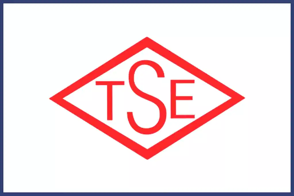 TSE Logo